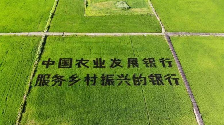 微信图片_20221012202808.jpg